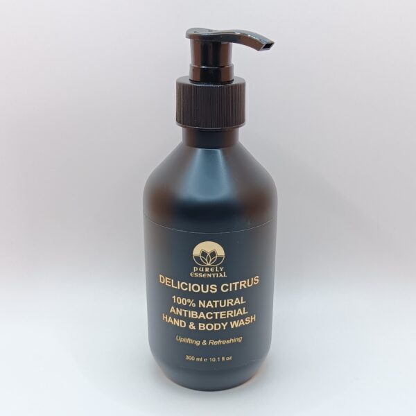 Delicious Citrus Natural Hand & Body Wash - Image 3